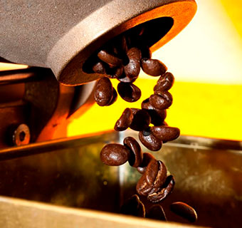 Frisch geröstete Kaffeebohnen fallen aus dem Trommelröster in ein Becken